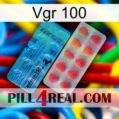 Vgr 100 new14